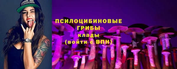 крисы Алзамай