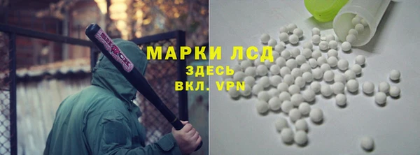 крисы Алзамай