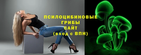 apvp Алексин