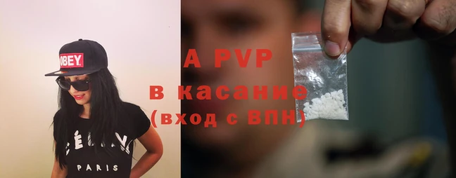 крисы Алзамай