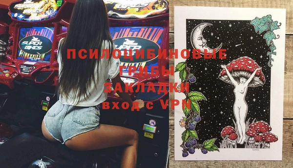 крисы Алзамай