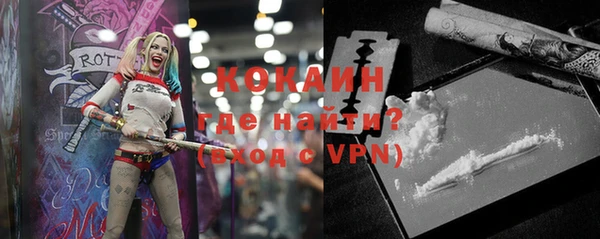 крисы Алзамай